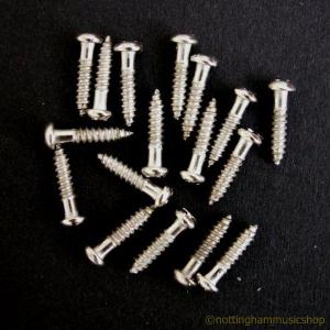 16 SMALL CHROME GUITAR MACHINE HEAD SCREWS